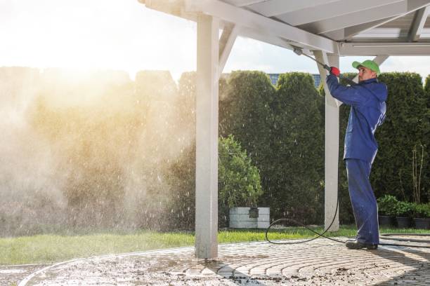 Best Sidewalk and Walkway Cleaning  in Lakemont, PA